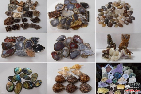 فروش عمده انواع سنگ و صدف