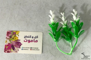 فروش عمده برگ شمشاد