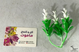 فروش عمده برگ شمشاد