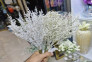 بوته گوزنی 2 رنگ