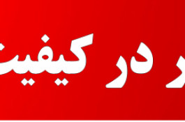 قوری تمام پیرکس درب بامبو 1500 میل شعله مستقیم