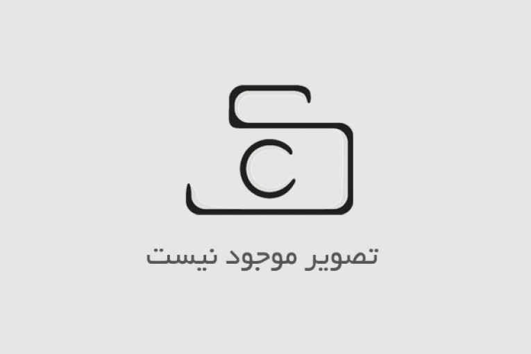 فروش عمده قالب تخم مرغ